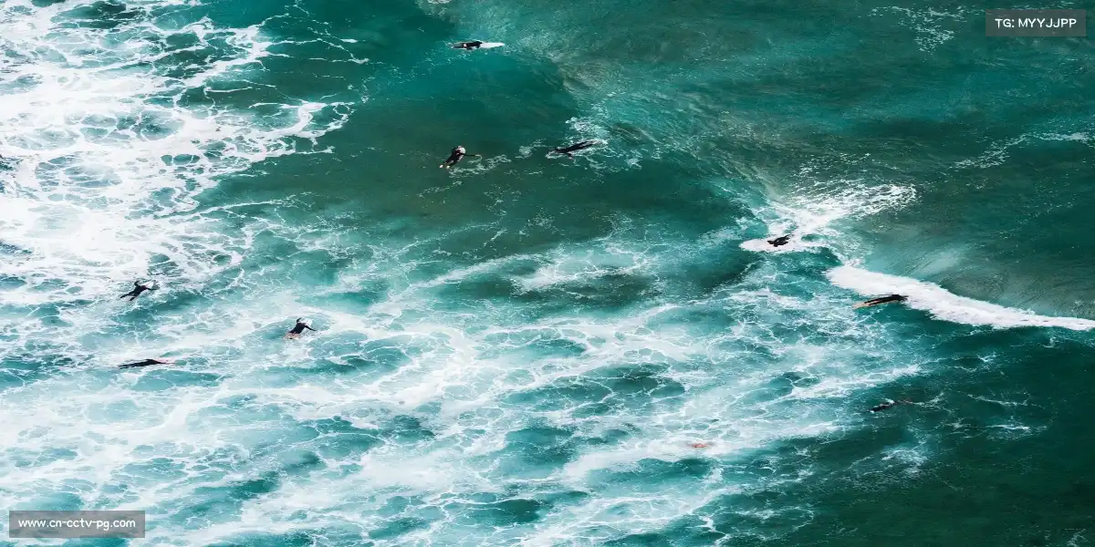 pg模拟器入口——起跑线是弓,运动员是箭。🌀 🌄